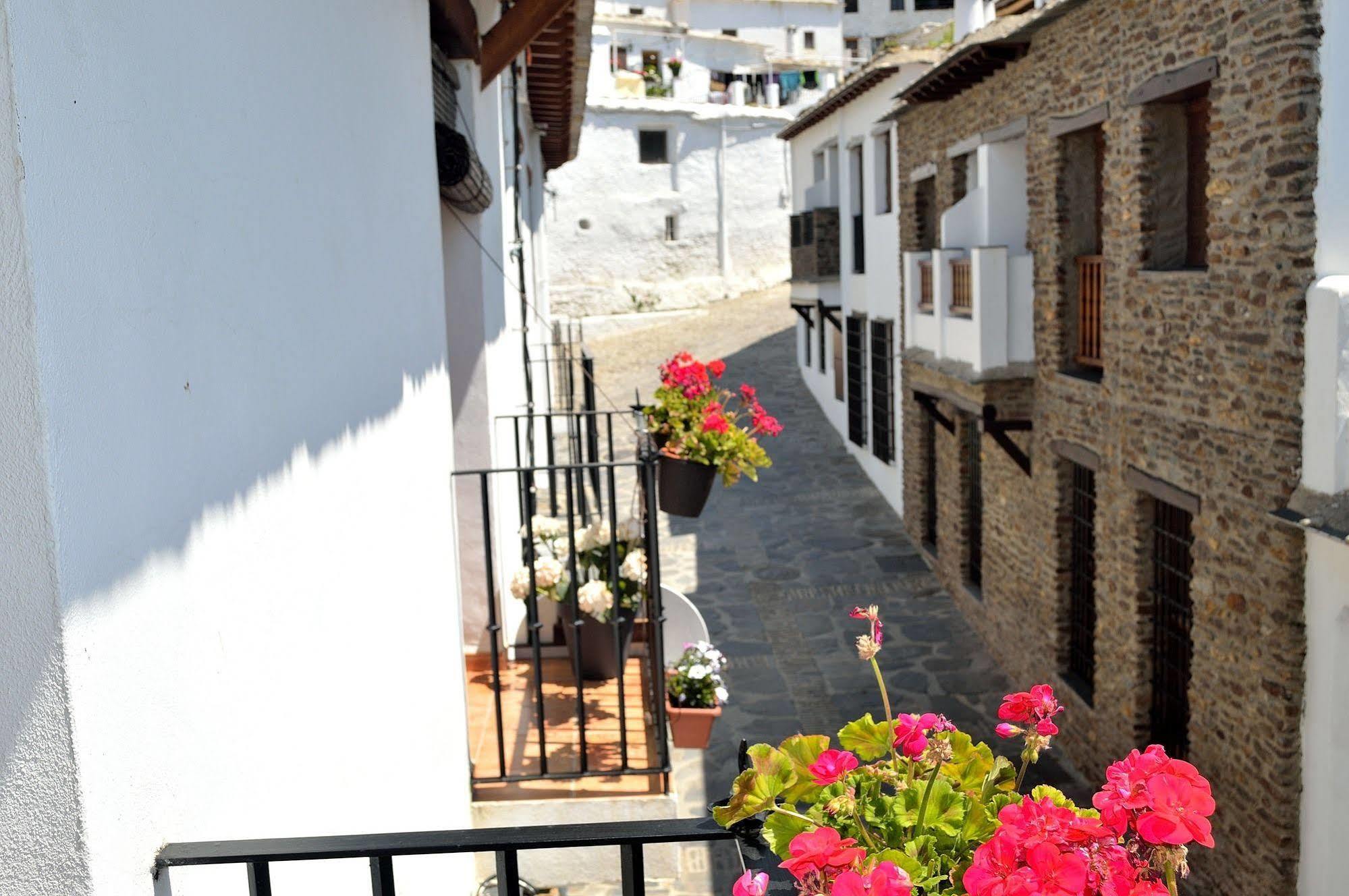Hotel Rural Alfajia De Antonio Capileira Eksteriør billede
